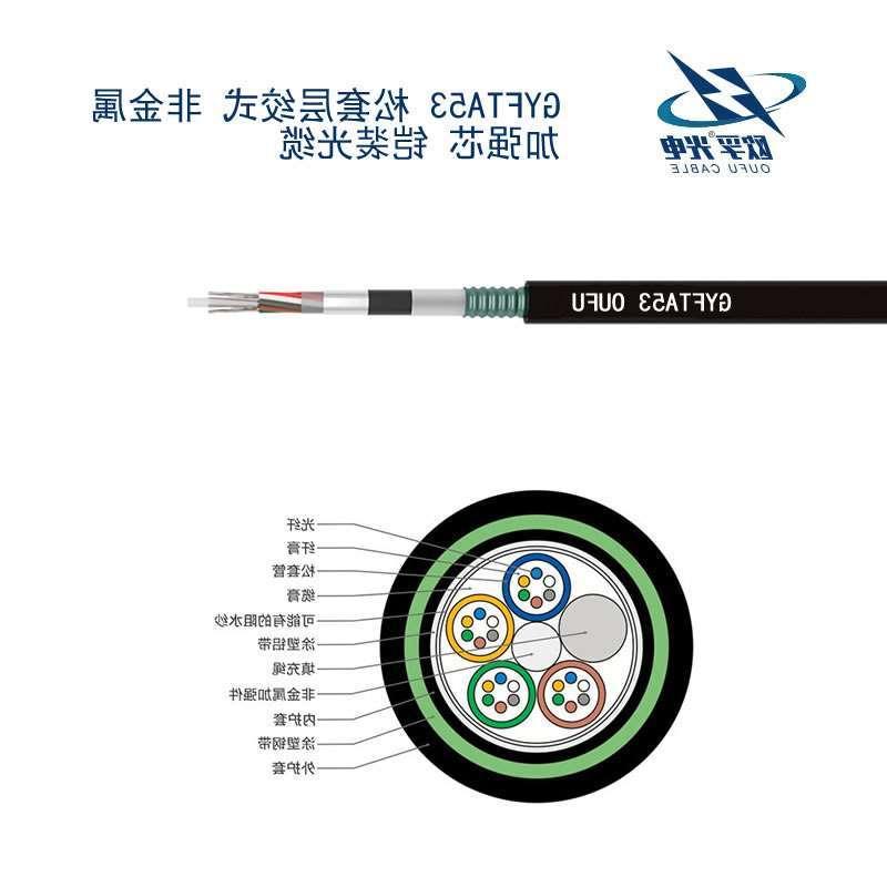 徐州市GYFTA53光缆