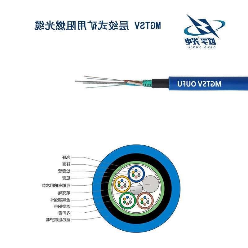 綦江区MGTSV光缆