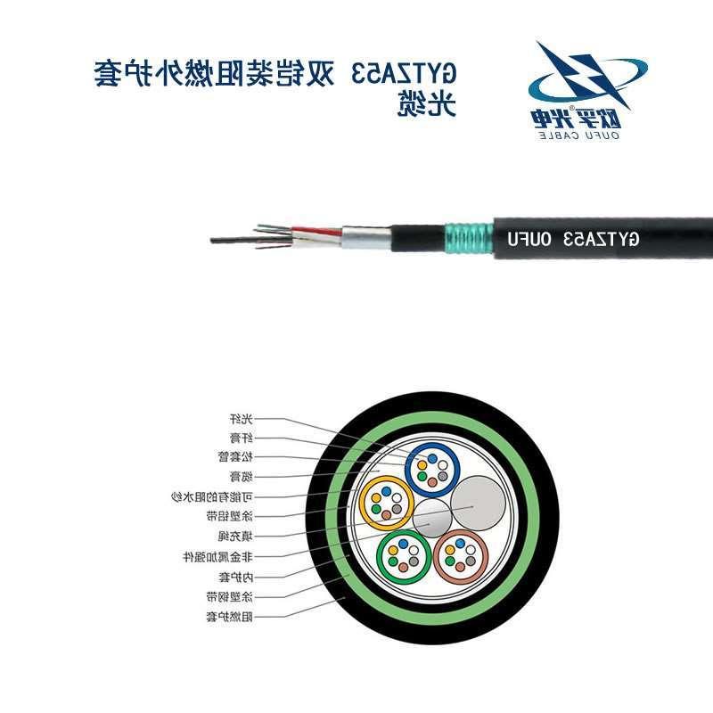 欧孚24芯GYTZA53光缆